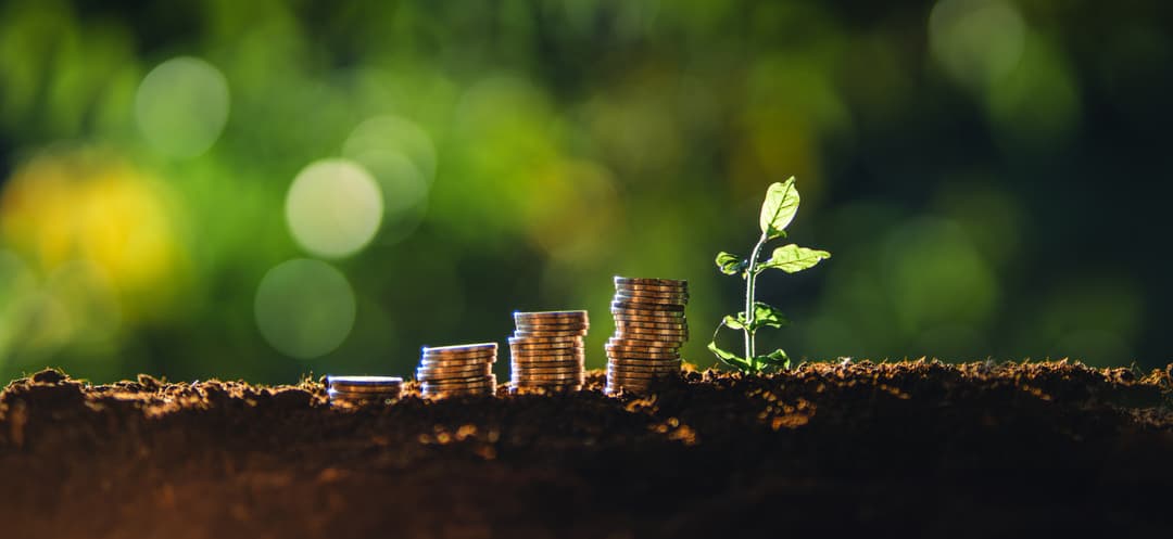 Builds financial resilience